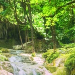 Meet your Posher, Ronin